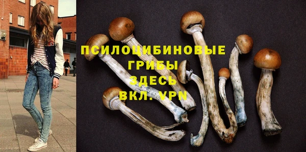 марки lsd Бронницы