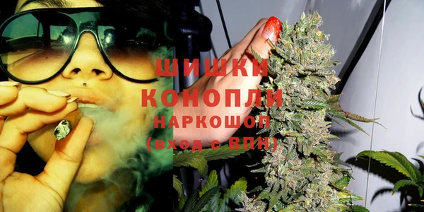 spice Бугульма