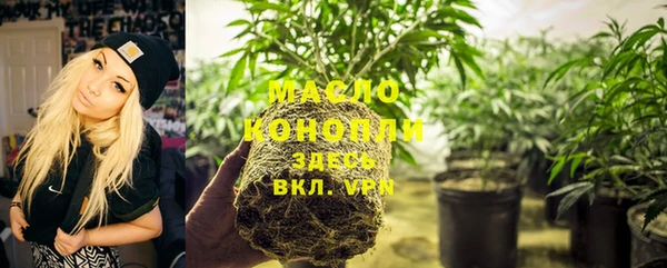 эйфоретик Бородино