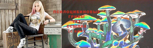 эйфоретик Бородино
