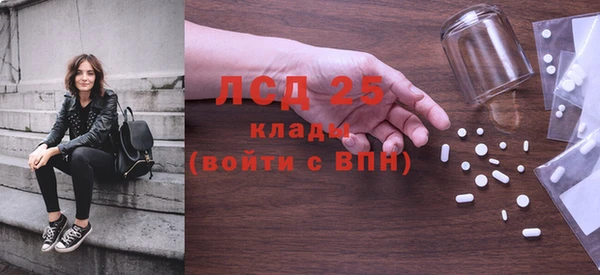 эйфоретик Бородино