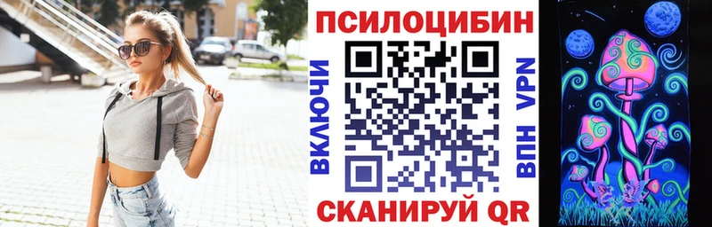 Купить где  Кохма  Галлюциногенные грибы GOLDEN TEACHER 